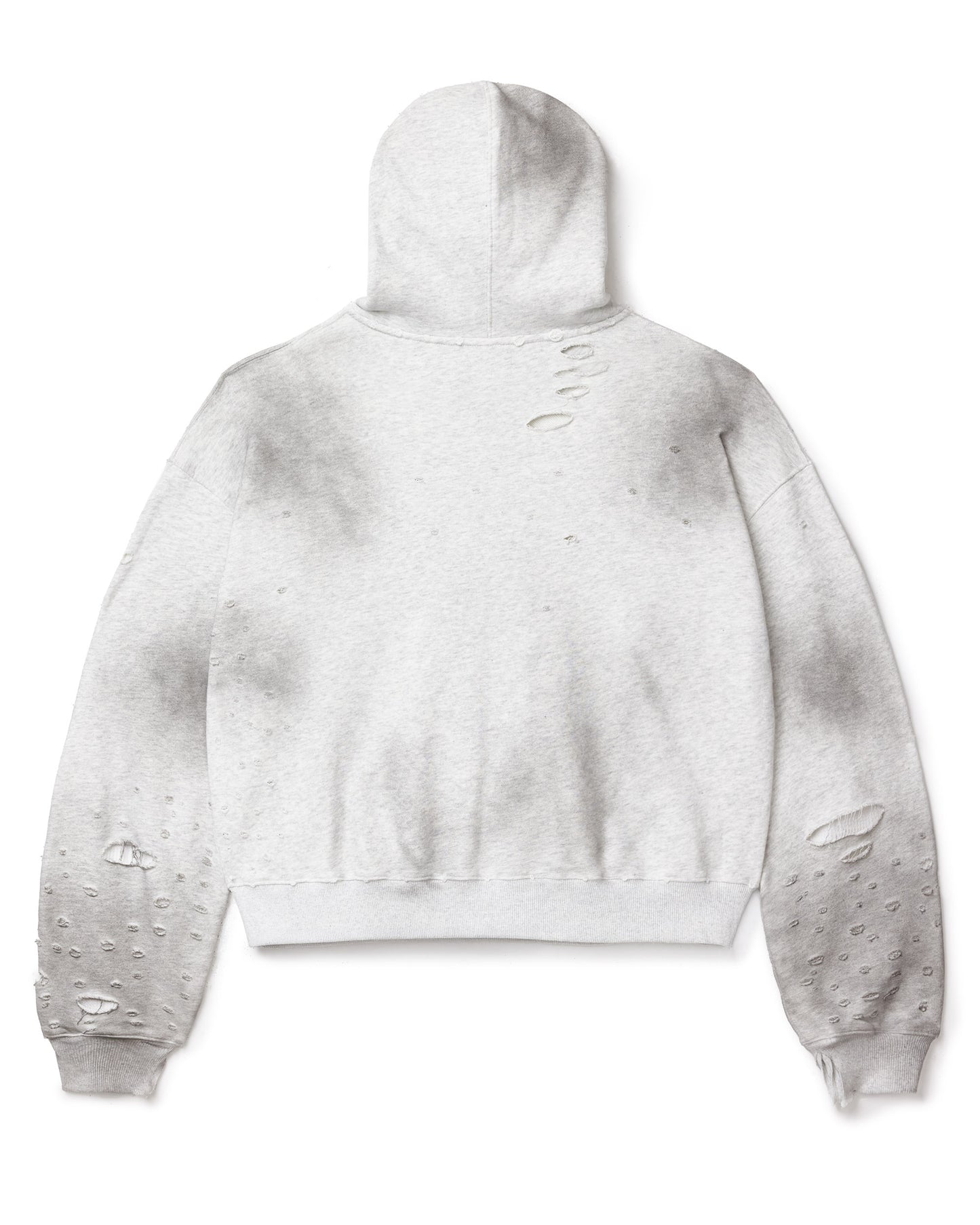 VALLEY FEST ZIP UP HOODIE