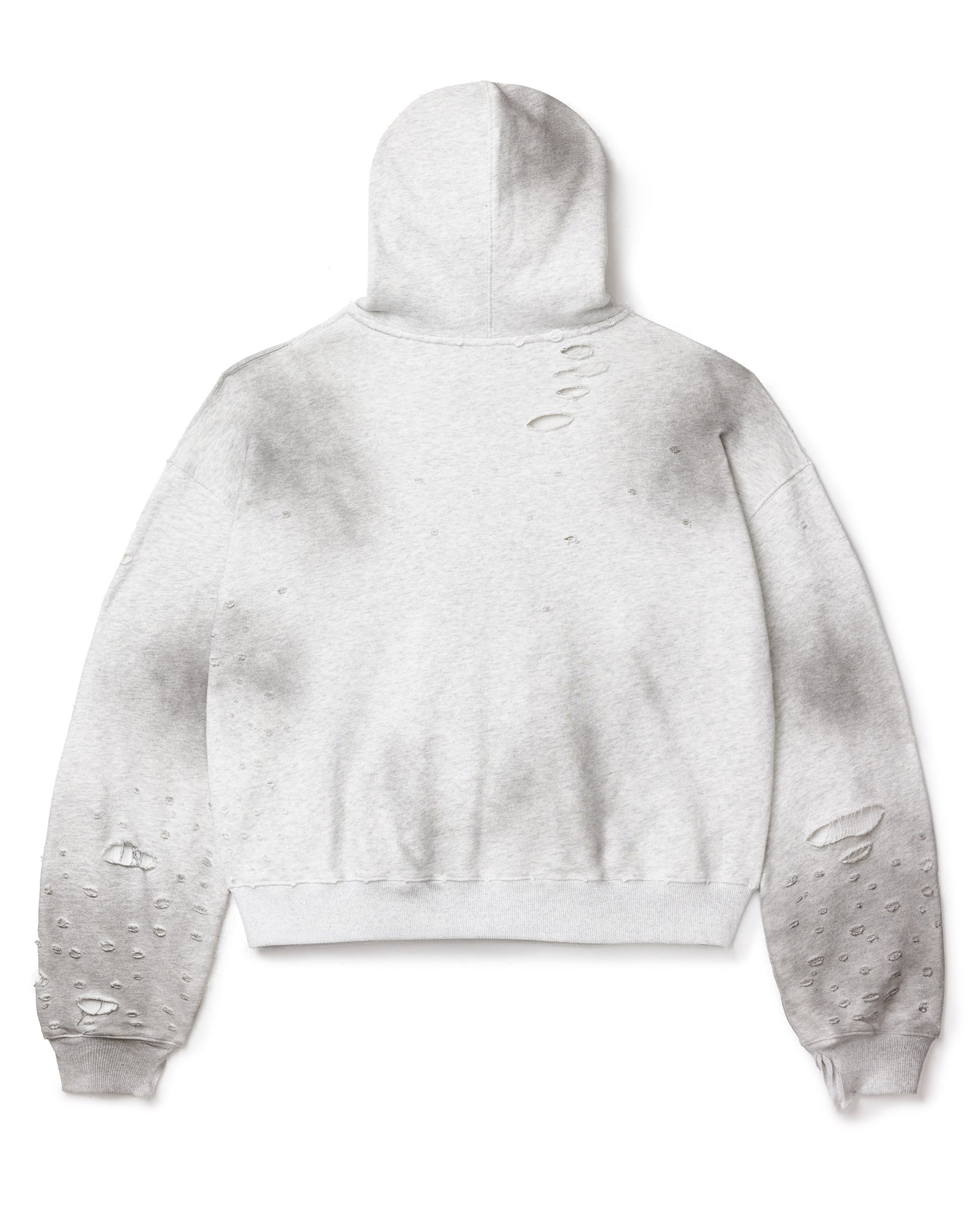 VALLEY FEST ZIP UP HOODIE