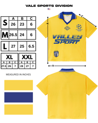 RENAULT POLO