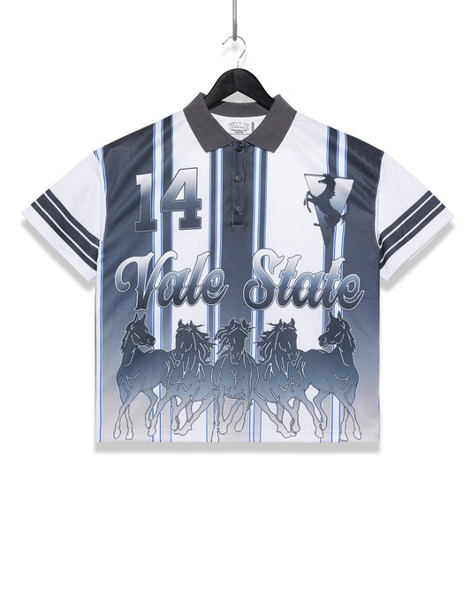 VALE STATE METAL POLO
